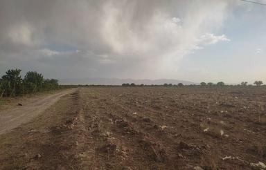 چاه و زمین کشاورزی اجاره ای بیجار کردستان