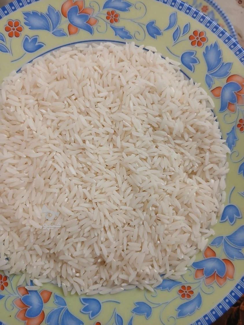 برنج هاشمی 260ت فجر 172و لاشه 173ت