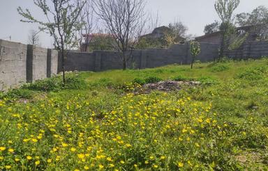 200 متر زمین با کاربری مسکونی