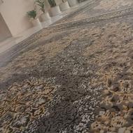 دوعدد فرش تمیز