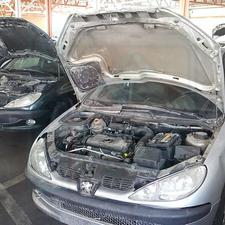 فروش دولتی 206