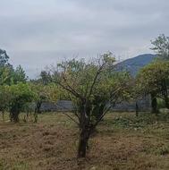 سیصد متر زمین با قابلیت ساخت و سنددار