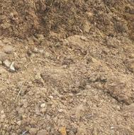 کود گاوی،ارگانیک