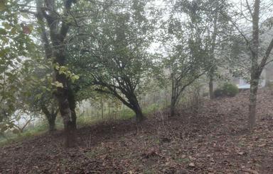 زمین مسکونی دارای مستثنیات – مناسب ساختوساز