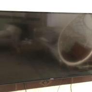 تلویزیون 49 اینچ مجیک