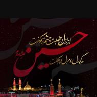 تور زمینی کربلا ویژه ولادت حضرت علی