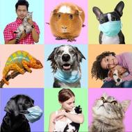 قطره های گیاهی برای افسر دگی و اضطراب حیوانات. آلمانی