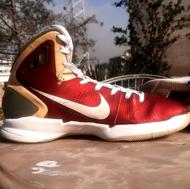 نایک هایپر دانک 2010 اورجینال