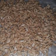 خریدار بذر نارنج