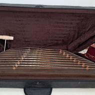 سنتور دومهر موسوی