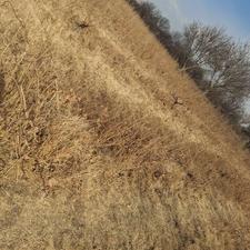 باغ انگور و میوه