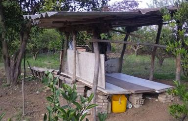 فروش 2500متر باغ هموار نزدیک جنگل پایین کولا