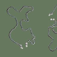 بند عینک منجوق هکاته