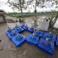 فروش اسپیلش استخر ماهی