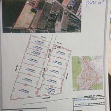 زمین جای خانه در ساری داغ بناب دوقطعه غیر رسمی