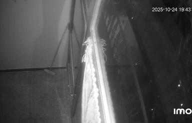 فروش مغازه تجاری بازار سرپوش