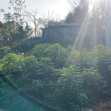 فروش زمین مسکونی 300 متر در تازه آباد