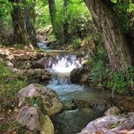 فروش زمین 714 متر در جمال الدین کلا لب چشمه با طبیعت بی نظیر