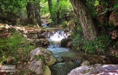 فروش زمین 714 متر در جمال الدین کلا لب چشمه با طبیعت بی نظیر