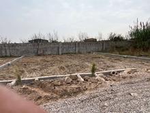 باغچه 200 متر با برق و کوچه 8متری در جاده بهنمیر در شیپور