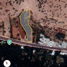 فروش باغ گردو سه هزار دویست متر