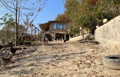 فروش ویلا 6000 متری جنگلی بی نظیر در دارابکلا