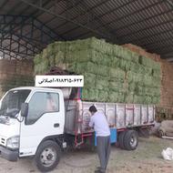 یونجه انباری کلش گندم جو محلی