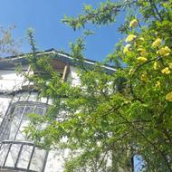 سوییت تمیز و امن نزدیک هزار سنگر