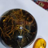 سنگ حشره دار فسیلی کهربا