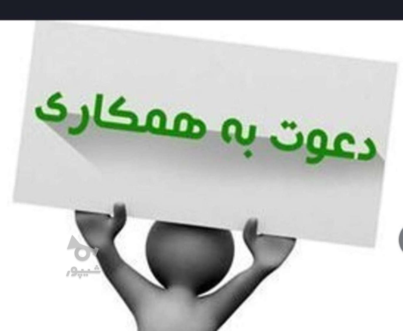 همکار. خانم - undefined