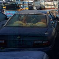 فروش دولتی سمند