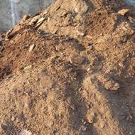 کود گوسفندی خشک