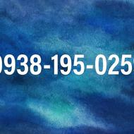 سیمکارت ایرانسل09381950259