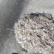 کاه نرمه گندم کلزا