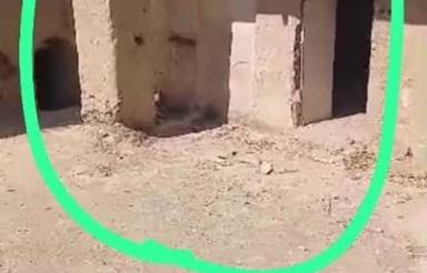 ملک کلنگی قلعه جمشیدی