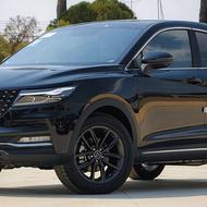 دیگنیتی 404 مشکی مارون