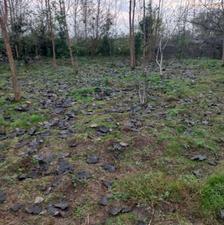 فروش زمین مسکونی بهمراه پروانه ساخت