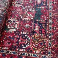 فروش فرش خانگی تولید سامان