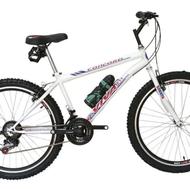 دوچرخه المپیاد مدل 24