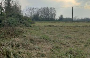 فروش 4500 متر زمین مناسب درختکاری