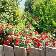 فروش زمین با خانه 40 متری شب کلا ساری