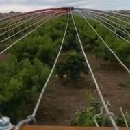 بر پا کردن گلخانه تونلی