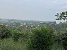 فروش فوری فوری باغ در واسکس در شیپور