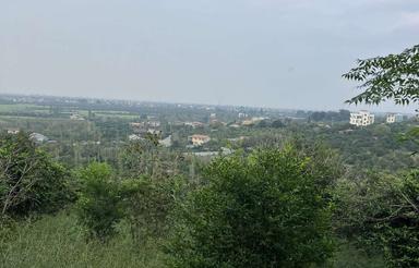 فروش فوری فوری باغ در واسکس