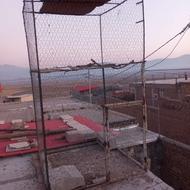 قفس پرنده کبوتر