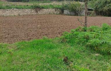 فروش زمین ،1000متری