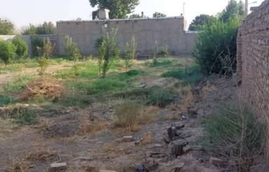 زمین مسکونی داخل بافت روستای زاغه