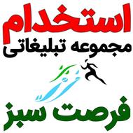 استخدام طراح سایت