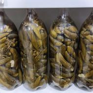 محصولات خانگی درجه یک