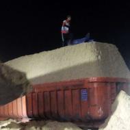 کاه و علوفه نیشکر